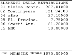 Un esempio di come sono riportati in busta paga gli elementi della retribuzione e il lordo totale